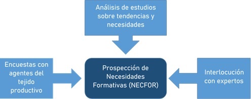 Esquema proceso detección necesidades formativas